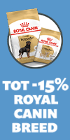 Royal Canin Shih Tzu Adult hondenvoer