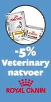 Royal Canin Skin & Coat kattenvoer 12x85gr natvoer