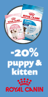 Royal Canin voer voor kitten 2kg Royal Canin voer voor kitten 2kg