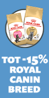 Royal Canin Persian voer voor kitten