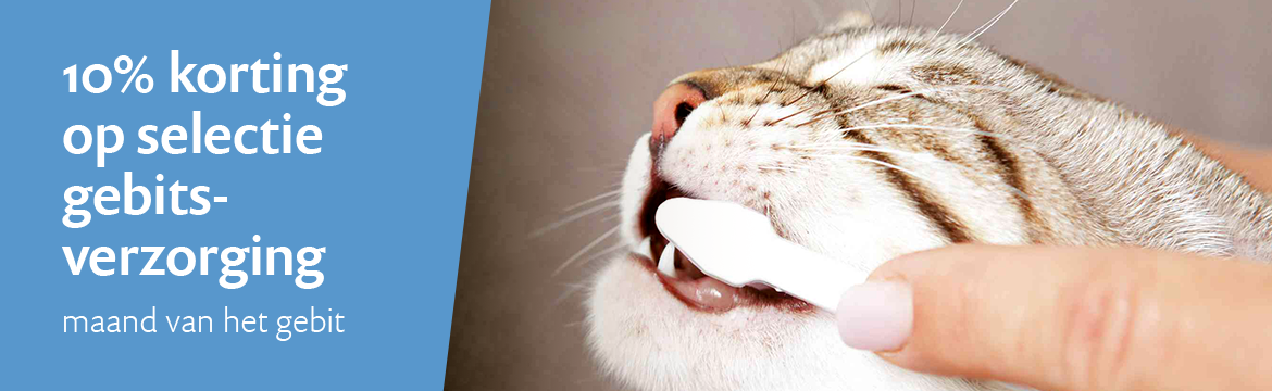 ACTIE: 10% korting op selectie gebitsverzorging - Maand van het gebit
