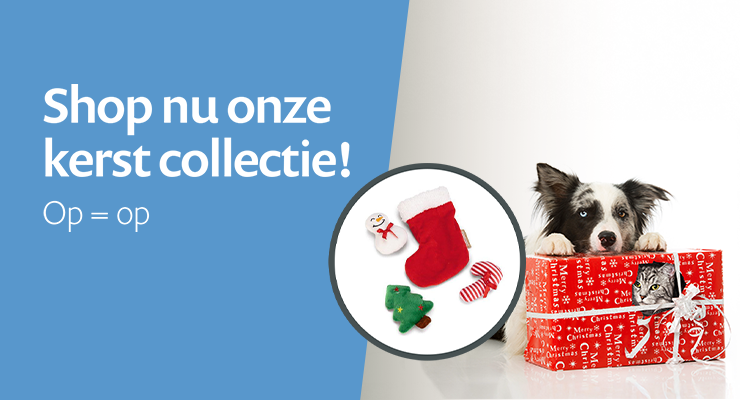 Kerst kat