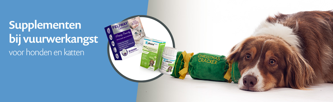 🎆 Vuurwerkangst 🎆 Vuurwerkangst