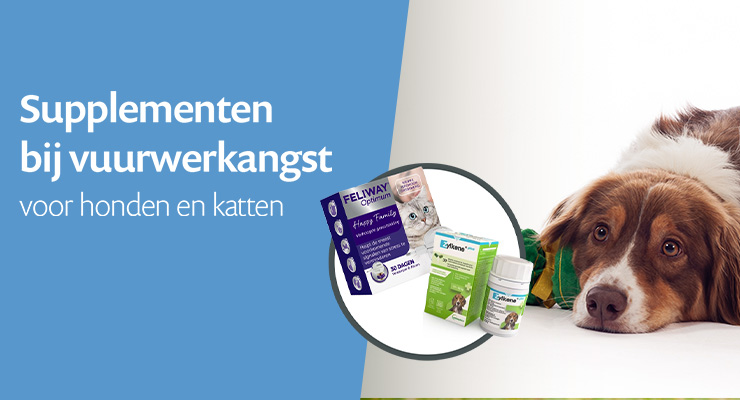 🎆 Vuurwerkangst 🎆 Vuurwerkangst