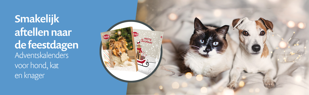 Adventskalenders 🎄