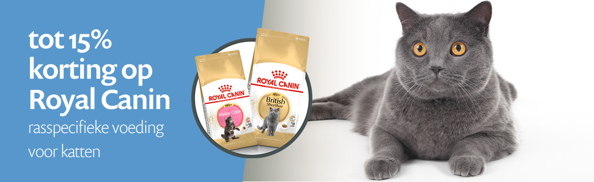 ACTIE: tot 15% korting op Royal Canin rasspecifieke kattenvoeding