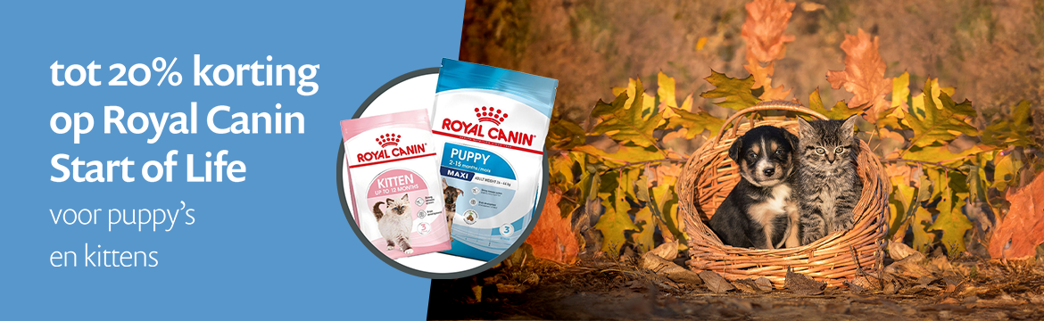 ACTIE: tot 20% korting op Royal Canin Start of Life voor puppy's ACTIE: tot 20% korting op Royal Canin Start of Life voor puppy's