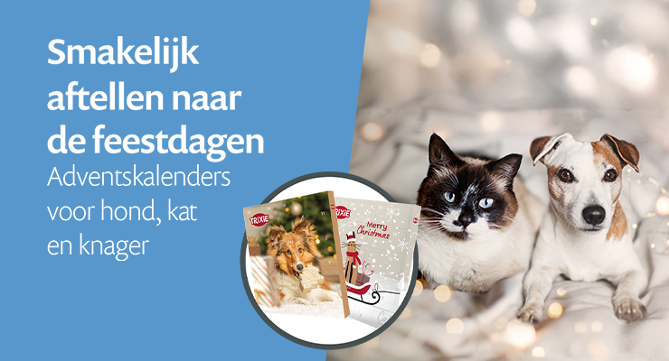 Adventskalenders 🎄