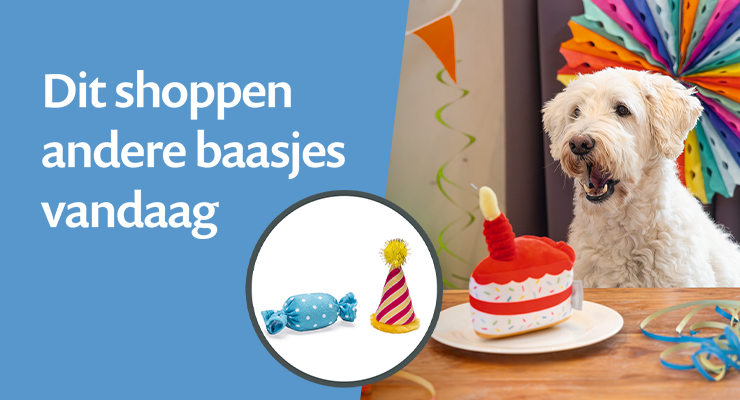 🎉 Favorieten 🎉