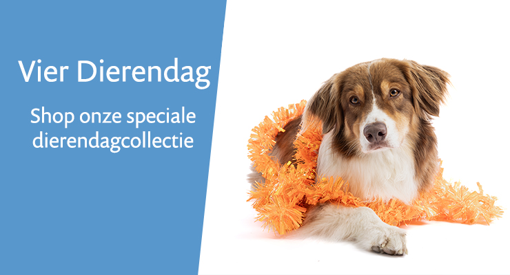 😺 Dierendag 🐶