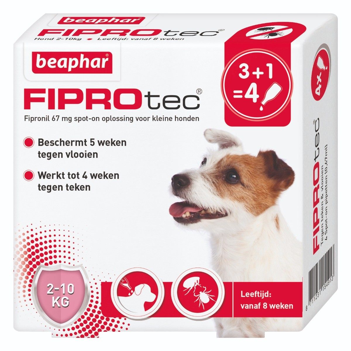 verrader sieraden Geleerde Beaphar Fiprotec Spot-On Hond 2-10kg - 3 pip | VoorMijnDier