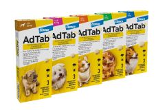 AdTab kauwtablet tegen vlooien en teken voor honden en pups