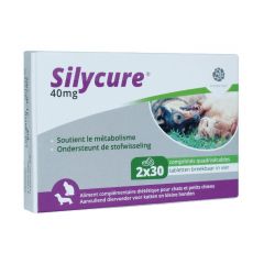 Silycure 40 mg 60 tabletten