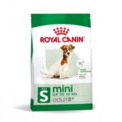 Royal Canin Mini Adult 8+ hondenvoer voor honden vanaf 8 jaar
