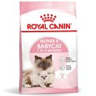 Royal Canin Mother & Babycat katten en kittenvoer
