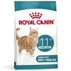 Royal Canin FHN Ageing Sterilised 11+ kattenvoer