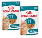 Royal Canin FHN Ageing 11+ natvoer kat