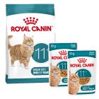 Royal Canin FHN Ageing 11+ kattenvoer