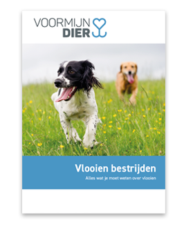 E-book over vlooien