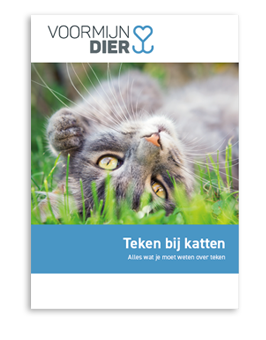 E-book over teken bij katten