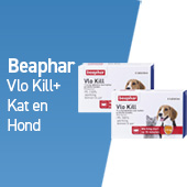 bearphar vlo kill+ kat en hond