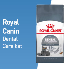 royal canin dental care kat
