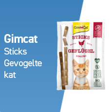 gimcat sticks kat