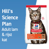 hill's science plan adult lam en rijst kat