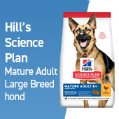 hill's science plan mature adult large breed hond