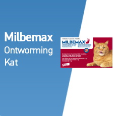 milbemax ontworming kat