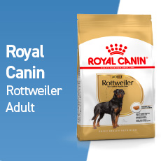 royal canin mini adult hond