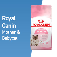 royal canin mother baby kat
