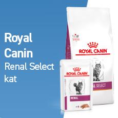 royal canin renal select kat