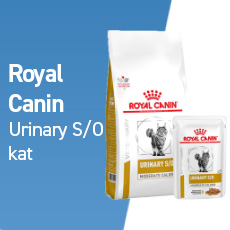 royal canin urinary s/o kat